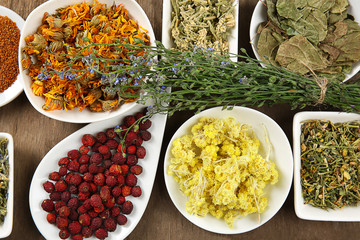 Natural flower and herb selection in ceramic bowls, close up