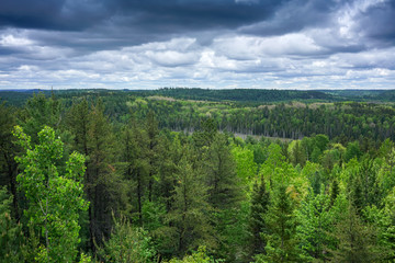 Fototapeta na wymiar contryside ontario canada nature aerial view of the forest