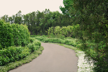 Fototapeta na wymiar Botany park in spring