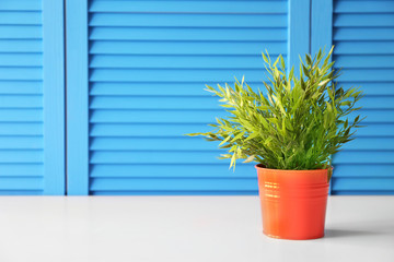 Green plant on blue folding screen background