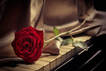 Red rose with with silver cloth on piano