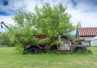 Obraz premium old rusty truck on the grass