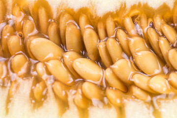 Macro closeup sliced melon seeds