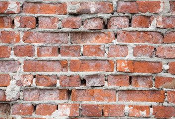 Fototapeta premium Brick old wall