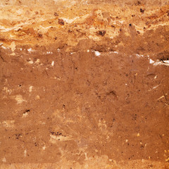 Surface of brown earth