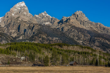 Grand Tetons hover over tiny cabin