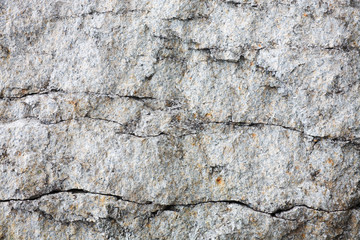 Cracked surface of a rock