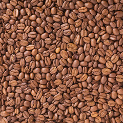 Fototapeta premium Laborer with box