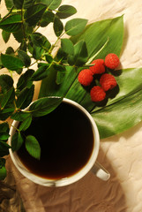 Obraz na płótnie Canvas photo of white coffee cup with raspberry on green leaves on beige and plant background