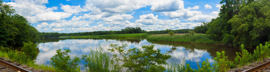 Fototapeta na wymiar Green trees by the lake sunny day, with clouds on the sky