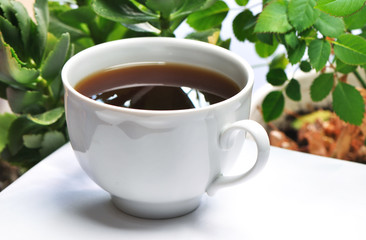 photo of white coffee cup on green leaves background