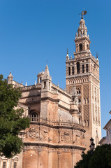 Fototapeta na wymiar Giralda Tower of the Seville Cathedral