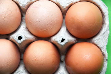 The image of eggs.
