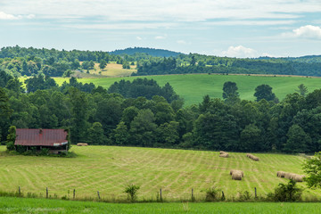 the Old Barn