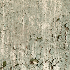 Texture of old damaged paint on a wall