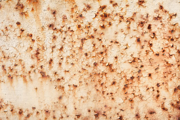 Rusty iron sheet with the peeled paint and corrosion stains