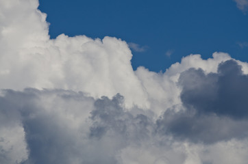 Billowing Cumulus Clouds Boiling in the Bright Blue Summer Sky