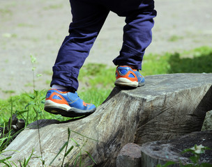 feet of a little boy who climbs on the big tree stump