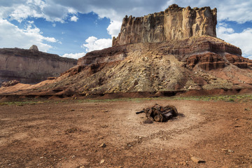 Fototapeta premium Discarded Engine in the San Rafael Swell