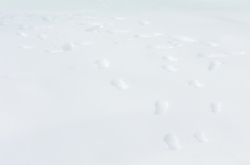People foot prints in snow