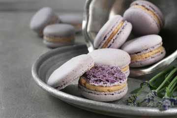Delicious macaroons and lavender, closeup