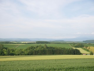 Patchwork road,Biei/Hokkaido,Japan