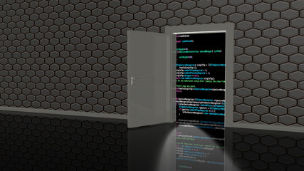 Backdoor to access the code
