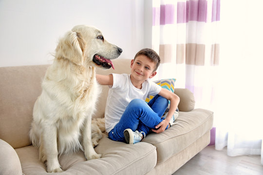 Small Boy And Cute Dog On Couch