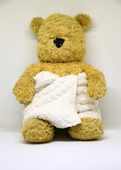 Bear is relaxing herself in spa