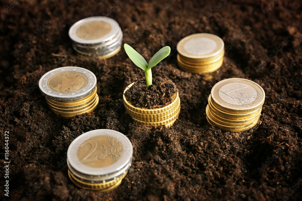 Poster coins in soil with young plant. money growth concept.