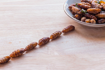 Fried insects - Wood worm insect crispy walking into the dish on