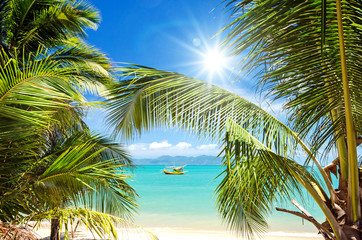 Invitation to dream and relax: Holidays on dream island: Tropical Chaweng Beach on Koh Samui :)