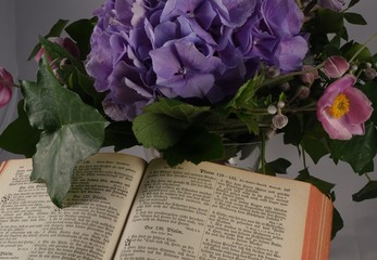 In der Bibel lesen