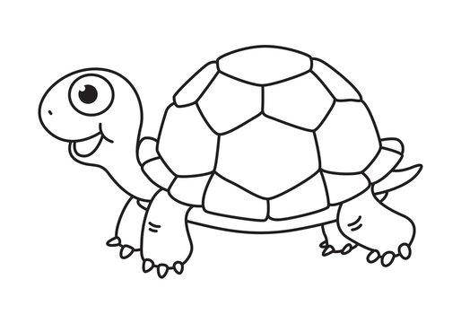 cartoon turtle, vector