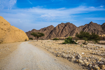 Hot winter in the desert near Red Sea