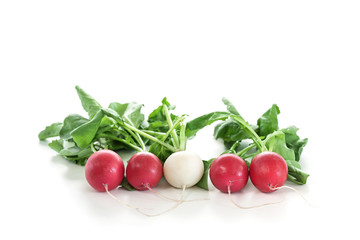 Ein Bund Radischen isoliert