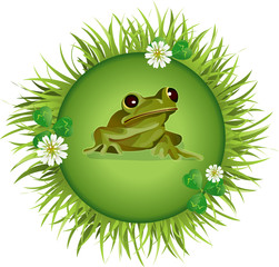 Frog on the meadow