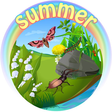vector summer illustration  insect 2
