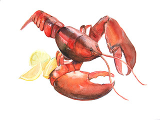 red shellfish watercolor