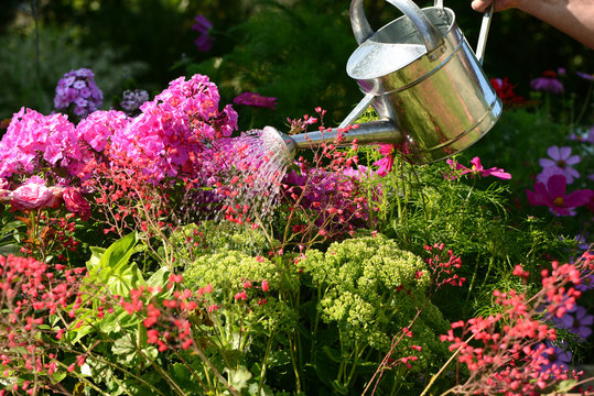 Garten 89