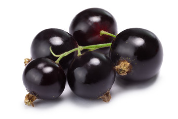 Blackcurrant bunch (Ribes Nigrum), clipping path