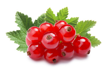 Redcurrant pile (Ribes Rubrum), paths