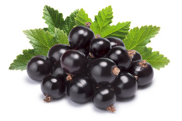 Blackcurrant pile (Ribes Nigrum), clipping paths