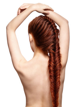 Woman With Ginger Braids Hair-do From Back Side Isolated On Whit