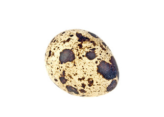 Quail egg on a white background