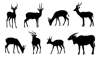 antelope silhouettes - obrazy, fototapety, plakaty