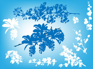 Fototapeta na wymiar spring tree blossom branches on blue background