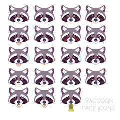 Set of raccoon faces
