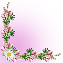 Beautiful floral background of white lupine and tulips 