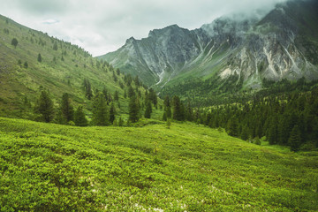 Obraz premium Summer mountain landscape in the Baikal mountains